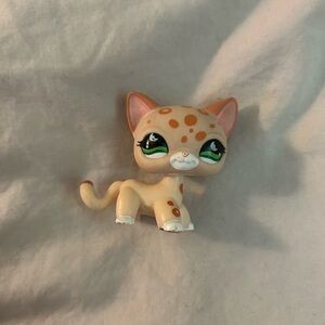 main 5 littlest pet shop rare shorthair